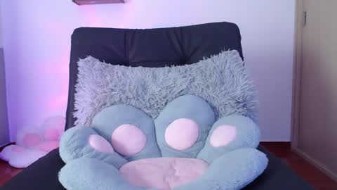 cat online show from January 28, 2025, 10:12 pm