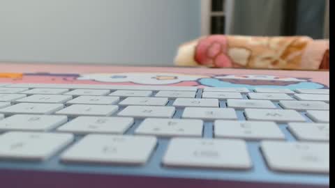 Snapshot of cbz112233 chatting on February 16, 2026, 6:04 pm ANNYANNY online show from February 16, 2026, 6:04 pm