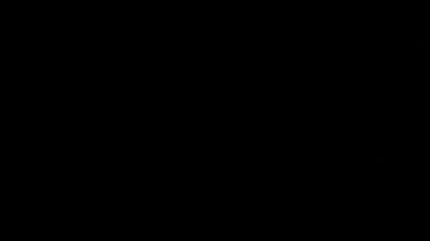 Tomys online show from July 19, 2026, 11:08 pm