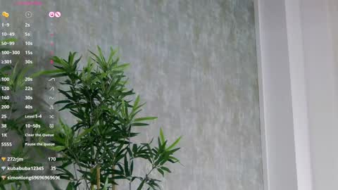 CelineMeyer online show from February 3, 2025, 12:47 pm