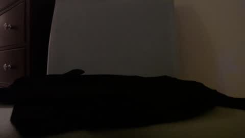 Snapshot of centerfield24 chatting on January 14, 2025, 7:17 am Centerfield online show from January 14, 2025, 7:17 am