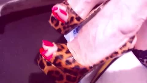 Snapshot of cerisedodd chatting on June 4, 2026, 1:11 am Cerise online show from June 4, 2026, 1:11 am