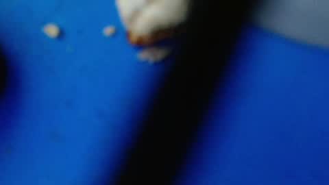 Snapshot of cguffey2284 chatting on March 7, 2025, 4:24 am cguffey2284 online show from March 7, 2025, 4:24 am