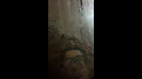 chacal6311 online show from February 9, 2026, 1:31 am