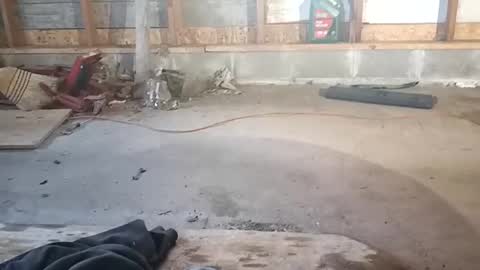 chadr1616 online show from November 15, 2025, 3:52 pm