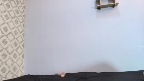 Raquel  online show from March 10, 2025, 3:09 pm