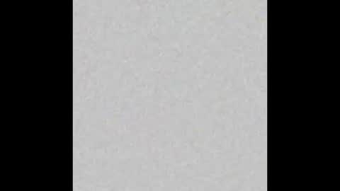 Charlotte online show from January 8, 2026, 7:49 pm