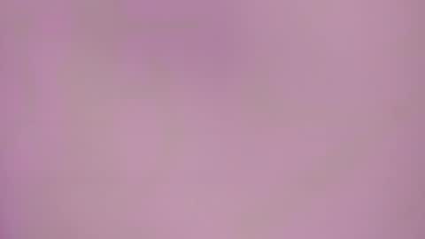 Charlotte Icee online show from February 17, 2026, 4:02 pm