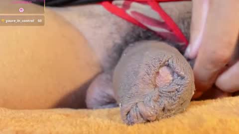 Char online show from January 15, 2026, 12:26 am