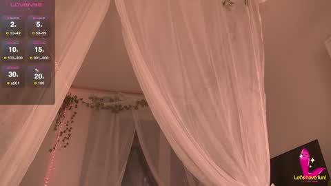 Charlotte online show from November 20, 2025, 7:46 pm