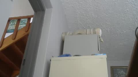 Snapshot of chaturbatordeluxe chatting on February 22, 2025, 2:52 pm chaturbatordeluxe online show from February 22, 2025, 2:52 pm