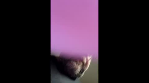 chef4u13 online show from April 25, 2026, 9:01 am