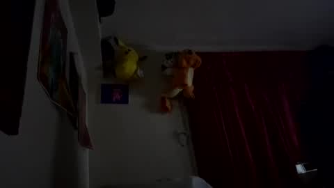 Snapshot of chefboii89 chatting on February 20, 2025, 9:55 am chefboii89 online show from February 20, 2025, 9:55 am