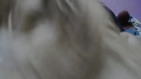 Snapshot of cheliafun chatting on November 17, 2025, 2:23 pm Cheila online show from November 17, 2025, 2:23 pm