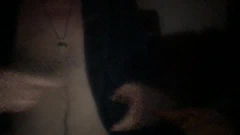 Snapshot of chevalier202 chatting on June 5, 2026, 10:26 pm chevalier202 online show from June 5, 2026, 10:26 pm