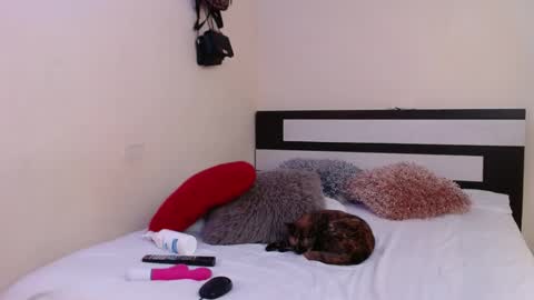  Valentina  online show from January 4, 2025, 1:52 am