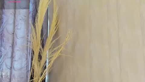 C H L O E  online show from January 17, 2026, 12:54 pm