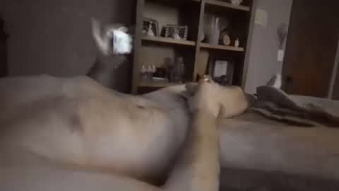 chrisw8121 online show from February 6, 2026, 6:40 am