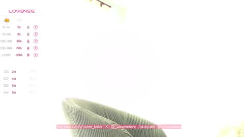 Snapshot of chromebabe_ chatting on January 12, 2025, 4:08 pm Gwendy Fox online show from January 12, 2025, 4:08 pm