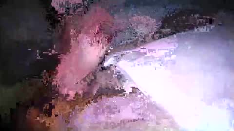 cicuta15 online show from March 17, 2026, 1:10 am