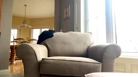 Snapshot of cinapw chatting on December 21, 2024, 3:53 pm cinapw online show from December 21, 2024, 3:53 pm