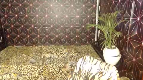 Cindy online show from January 7, 2025, 3:35 am