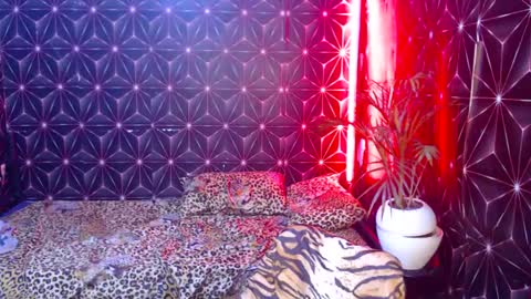 Cindy online show from January 7, 2025, 2:19 pm