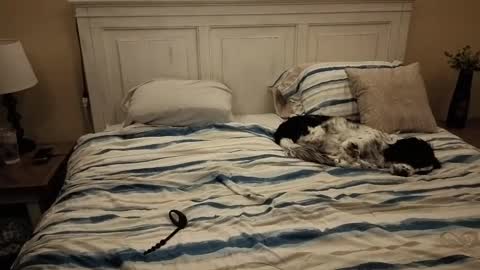 Snapshot of cking14340730238 chatting on October 10, 2025, 7:40 am KingDing online show from October 10, 2025, 7:40 am