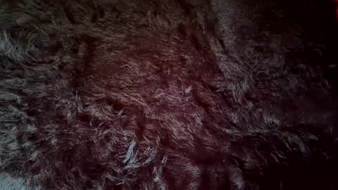 Snapshot of clydeninethousand chatting on September 20, 2025, 4:52 pm clydeninethousand online show from September 20, 2025, 4:52 pm