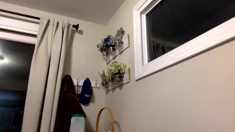 COACH online show from December 14, 2025, 12:49 am