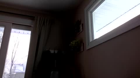 COACH online show from December 14, 2025, 2:00 pm