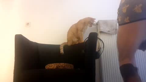 Snapshot of cockholder420 chatting on November 23, 2025, 9:09 am cockholder420 online show from November 23, 2025, 9:09 am