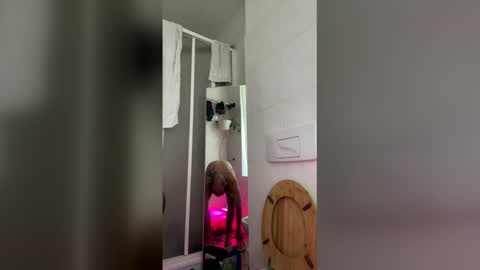 cockholder420 online show from April 19, 2026, 11:42 am