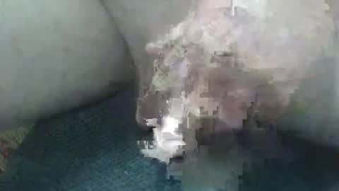 cocktoys online show from February 2, 2026, 5:50 am