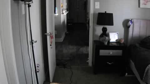 Snapshot of codieraye chatting on December 12, 2024, 3:05 pm TheGoddessCodie online show from December 12, 2024, 3:05 pm