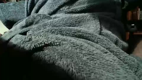 colchuck online show from February 20, 2026, 2:39 pm