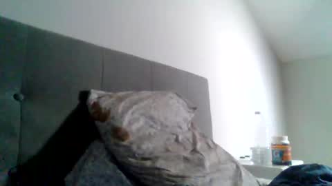 Snapshot of college_muscle chatting on January 23, 2025, 3:01 pm foreverxshredded online show from January 23, 2025, 3:01 pm