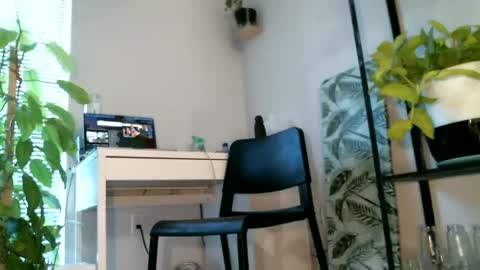 Snapshot of colorfullydark chatting on February 28, 2025, 5:37 pm Noni online show from February 28, 2025, 5:37 pm