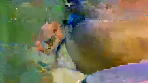 colourlight online show from November 9, 2025, 11:47 pm