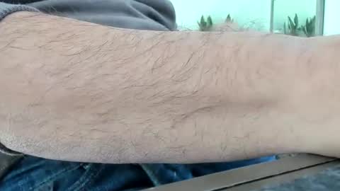 Colt online show from November 17, 2025, 2:12 pm