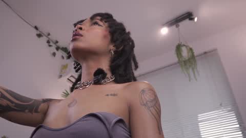 ROSELL 3   online show from October 29, 2025, 6:42 pm