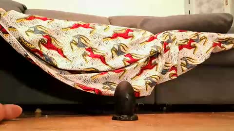 Snapshot of cossy69 chatting on September 26, 2025, 4:33 pm Andy sissy room online show from September 26, 2025, 4:33 pm