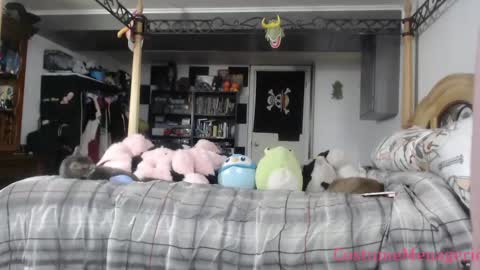 Snapshot of costumemenagerie chatting on April 22, 2026, 10:44 pm Amethyst Cox online show from April 22, 2026, 10:44 pm