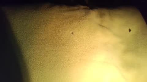 crave_me_ online show from November 29, 2025, 3:53 am