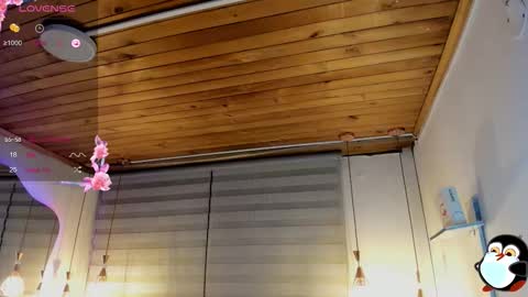 Cristal online show from February 3, 2026, 6:40 am