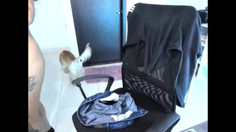 cristinasweet7 online show from November 30, 2025, 3:32 am