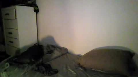 cruz815 online show from April 17, 2026, 8:28 am