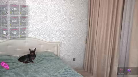 Nika online show from November 23, 2025, 2:28 pm