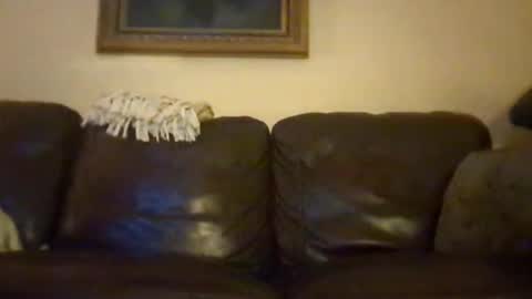 Snapshot of cubforotter chatting on October 19, 2025, 10:16 am cubforotter online show from October 19, 2025, 10:16 am