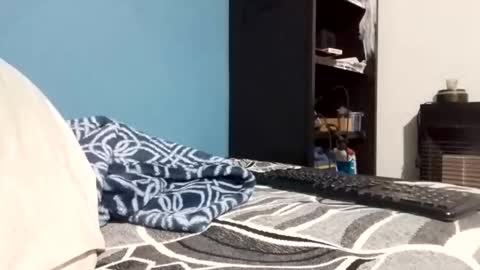 Snapshot of cumbian_chero chatting on February 23, 2026, 11:07 am cumbian_chero online show from February 23, 2026, 11:07 am